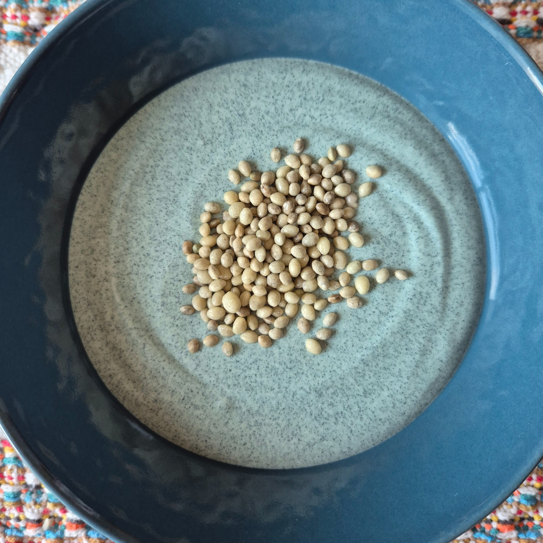 Hemp Crunchies White Orange - Hempions - Image 5